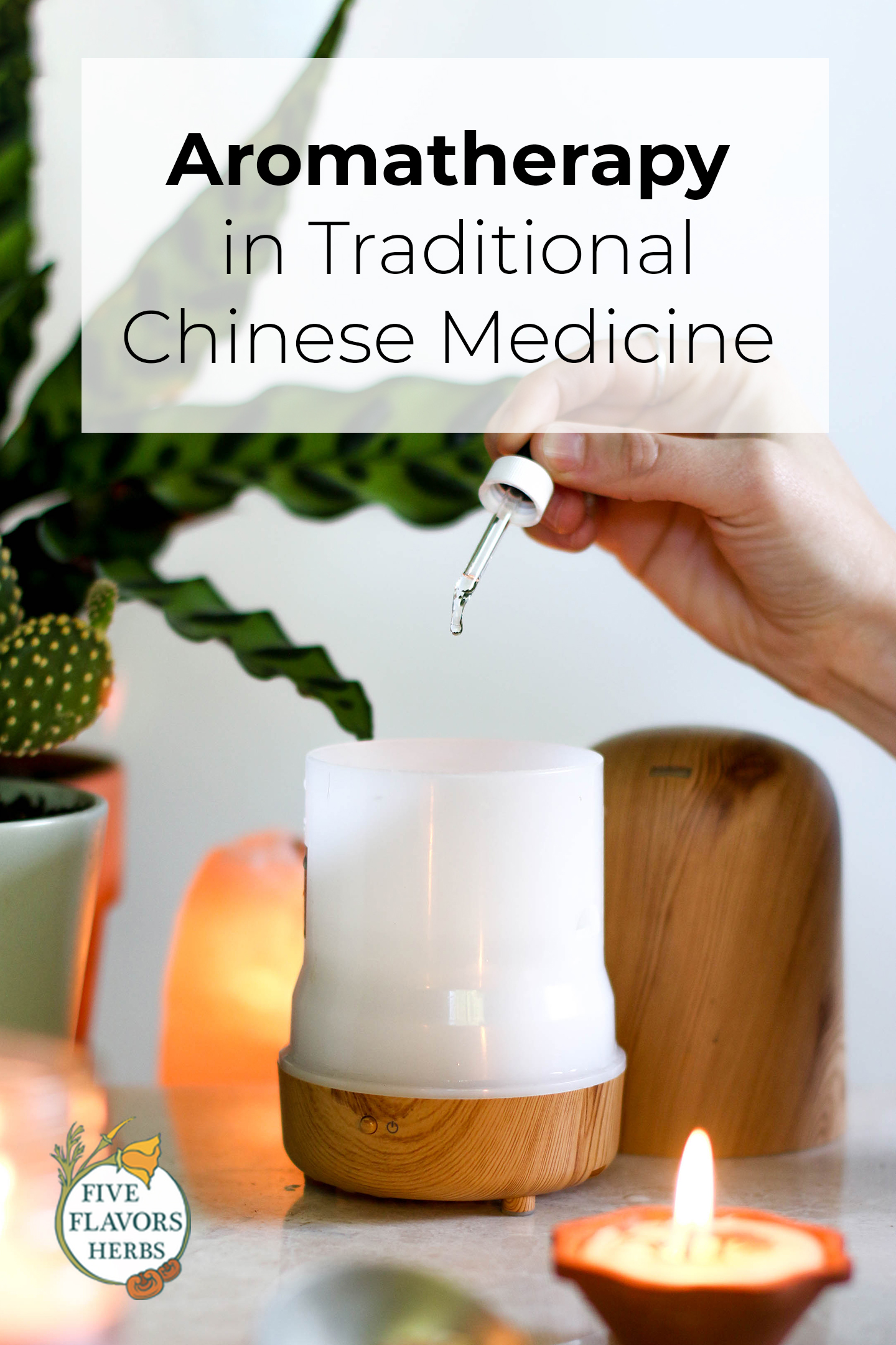 aromatherapy-in-traditional-chinese-medicine-pin-from-five-flavors-herbs